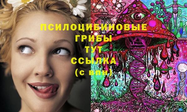 марихуана Новодвинск